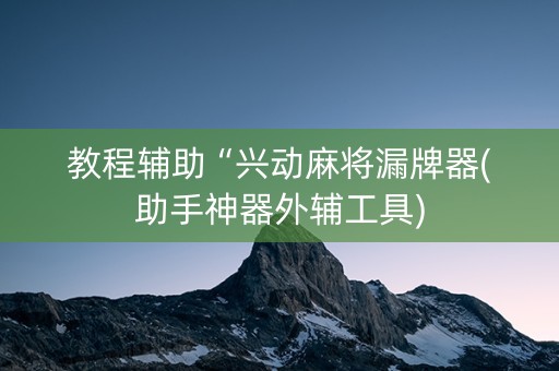 教程辅助“兴动麻将漏牌器(助手神器外辅工具)