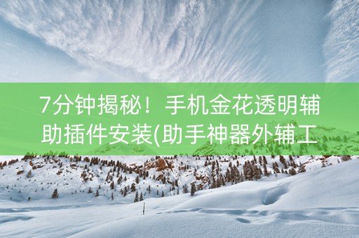 7分钟揭秘！手机金花透明辅助插件安装(助手神器外辅工具)