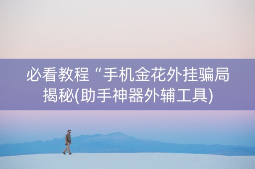 必看教程“手机金花外挂骗局揭秘(助手神器外辅工具)