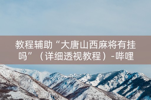教程辅助“大唐山西麻将有挂吗”（详细透视教程）-哔哩哔哩