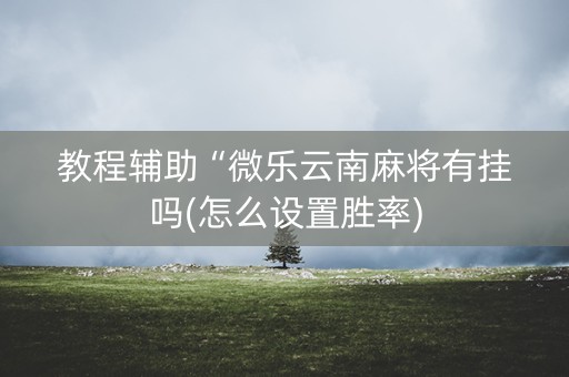 教程辅助“微乐云南麻将有挂吗(怎么设置胜率)