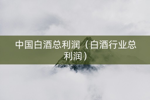 中国白酒总利润（白酒行业总利润）