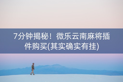 7分钟揭秘！微乐云南麻将插件购买(其实确实有挂)