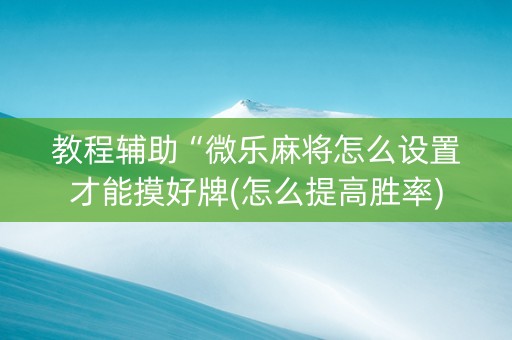 教程辅助“微乐麻将怎么设置才能摸好牌(怎么提高胜率)