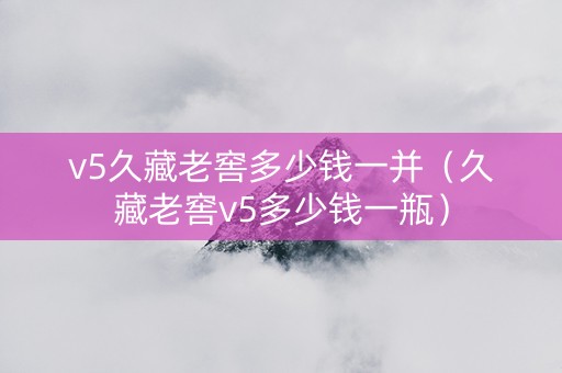 v5久藏老窖多少钱一并（久藏老窖v5多少钱一瓶）
