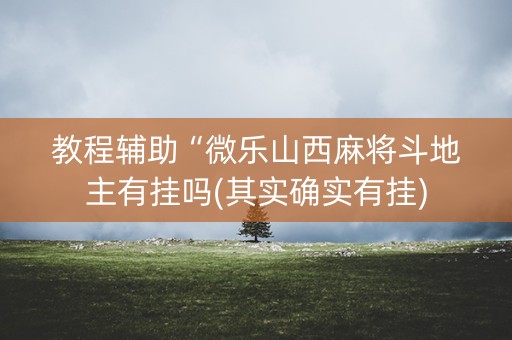 教程辅助“微乐山西麻将斗地主有挂吗(其实确实有挂)