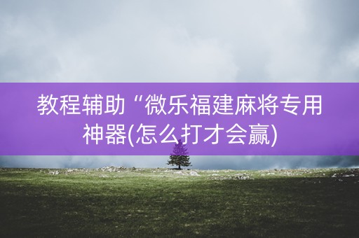 教程辅助“微乐福建麻将专用神器(怎么打才会赢)
