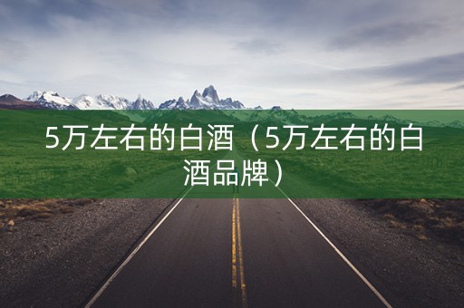 5万左右的白酒（5万左右的白酒品牌）
