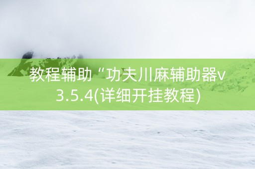 教程辅助“功夫川麻辅助器v3.5.4(详细开挂教程)