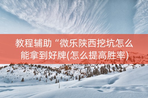 教程辅助“微乐陕西挖坑怎么能拿到好牌(怎么提高胜率)