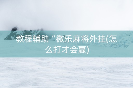 教程辅助“微乐麻将外挂(怎么打才会赢)