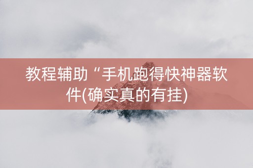 教程辅助“手机跑得快神器软件(确实真的有挂)