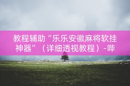 教程辅助“乐乐安徽麻将软挂神器”（详细透视教程）-哔哩哔哩