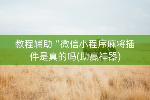 教程辅助“微信小程序麻将插件是真的吗(助赢神器)