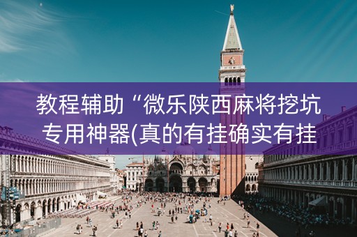教程辅助“微乐陕西麻将挖坑专用神器(真的有挂确实有挂)