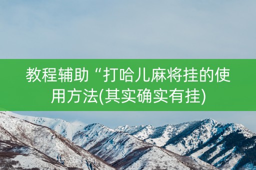 教程辅助“打哈儿麻将挂的使用方法(其实确实有挂)