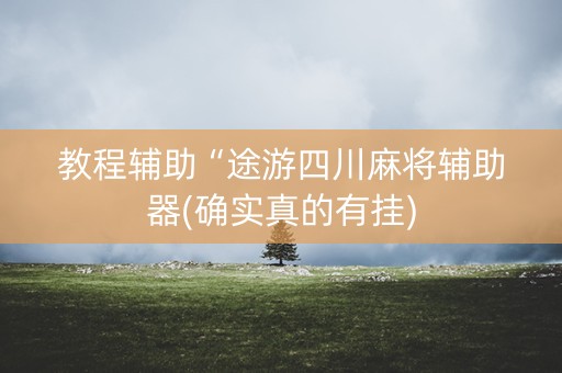 教程辅助“途游四川麻将辅助器(确实真的有挂)