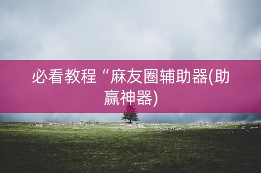 必看教程“麻友圈辅助器(助赢神器)