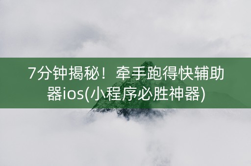 7分钟揭秘！牵手跑得快辅助器ios(小程序必胜神器)