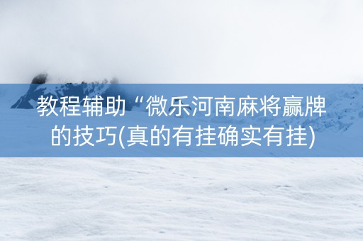 教程辅助“微乐河南麻将赢牌的技巧(真的有挂确实有挂)