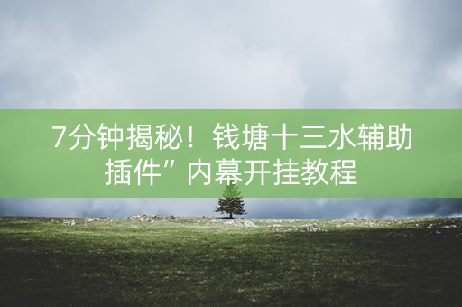 7分钟揭秘！钱塘十三水辅助插件”内幕开挂教程