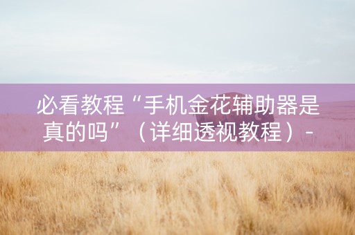 必看教程“手机金花辅助器是真的吗”（详细透视教程）-哔哩哔哩
