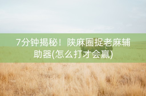 7分钟揭秘！陕麻圈捉老麻辅助器(怎么打才会赢)