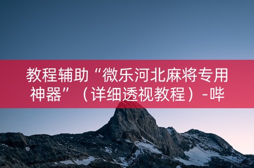 教程辅助“微乐河北麻将专用神器”（详细透视教程）-哔哩哔哩