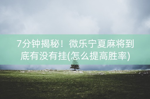 7分钟揭秘！微乐宁夏麻将到底有没有挂(怎么提高胜率)