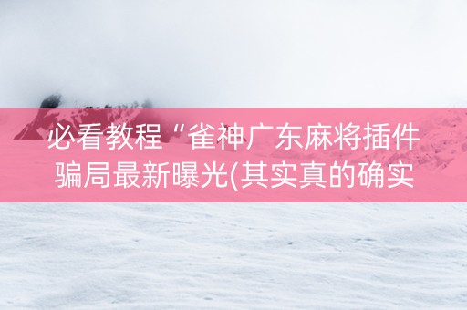 必看教程“雀神广东麻将插件骗局最新曝光(其实真的确实有挂)