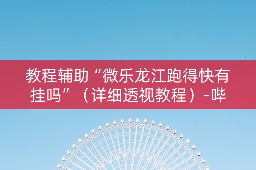教程辅助“微乐龙江跑得快有挂吗”（详细透视教程）-哔哩哔哩