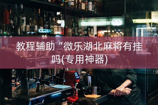 教程辅助“微乐湖北麻将有挂吗(专用神器)