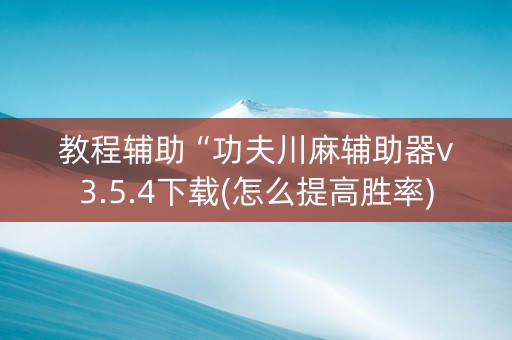 教程辅助“功夫川麻辅助器v3.5.4下载(怎么提高胜率)
