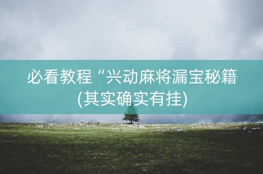 必看教程“兴动麻将漏宝秘籍(其实确实有挂)