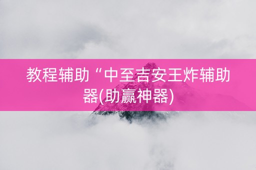 教程辅助“中至吉安王炸辅助器(助赢神器)