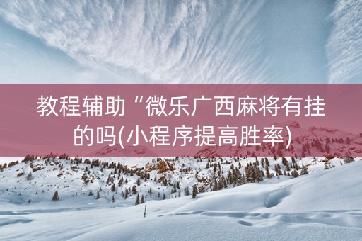 教程辅助“微乐广西麻将有挂的吗(小程序提高胜率)