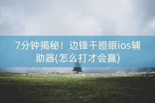 7分钟揭秘！边锋干瞪眼ios辅助器(怎么打才会赢)