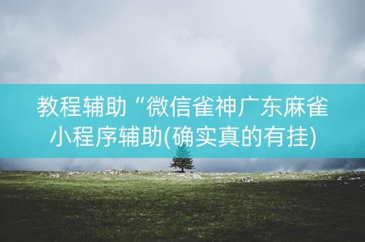 教程辅助“微信雀神广东麻雀小程序辅助(确实真的有挂)