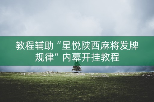 教程辅助“星悦陕西麻将发牌规律”内幕开挂教程