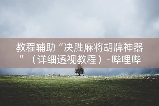 教程辅助“决胜麻将胡牌神器”（详细透视教程）-哔哩哔哩