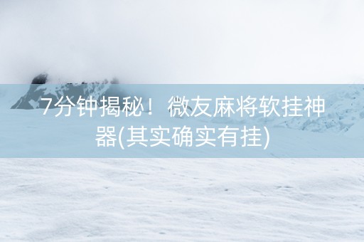 7分钟揭秘！微友麻将软挂神器(其实确实有挂)