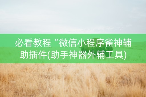 必看教程“微信小程序雀神辅助插件(助手神器外辅工具)