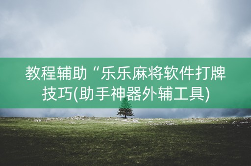 教程辅助“乐乐麻将软件打牌技巧(助手神器外辅工具)