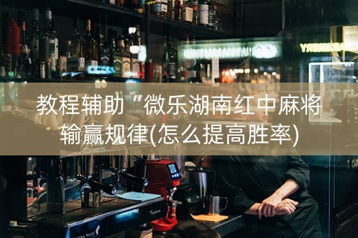 教程辅助“微乐湖南红中麻将输赢规律(怎么提高胜率)