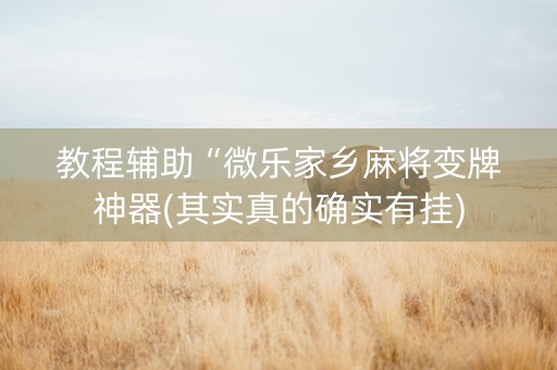 教程辅助“微乐家乡麻将变牌神器(其实真的确实有挂)