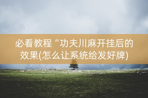 必看教程“功夫川麻开挂后的效果(怎么让系统给发好牌)