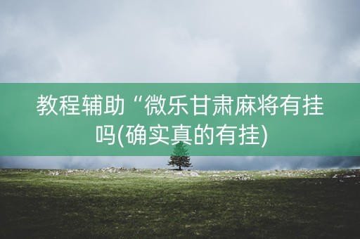 教程辅助“微乐甘肃麻将有挂吗(确实真的有挂)