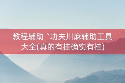 教程辅助“功夫川麻辅助工具大全(真的有挂确实有挂)