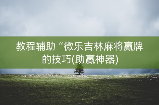 教程辅助“微乐吉林麻将赢牌的技巧(助赢神器)