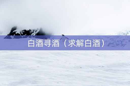 白酒寻酒（求解白酒）